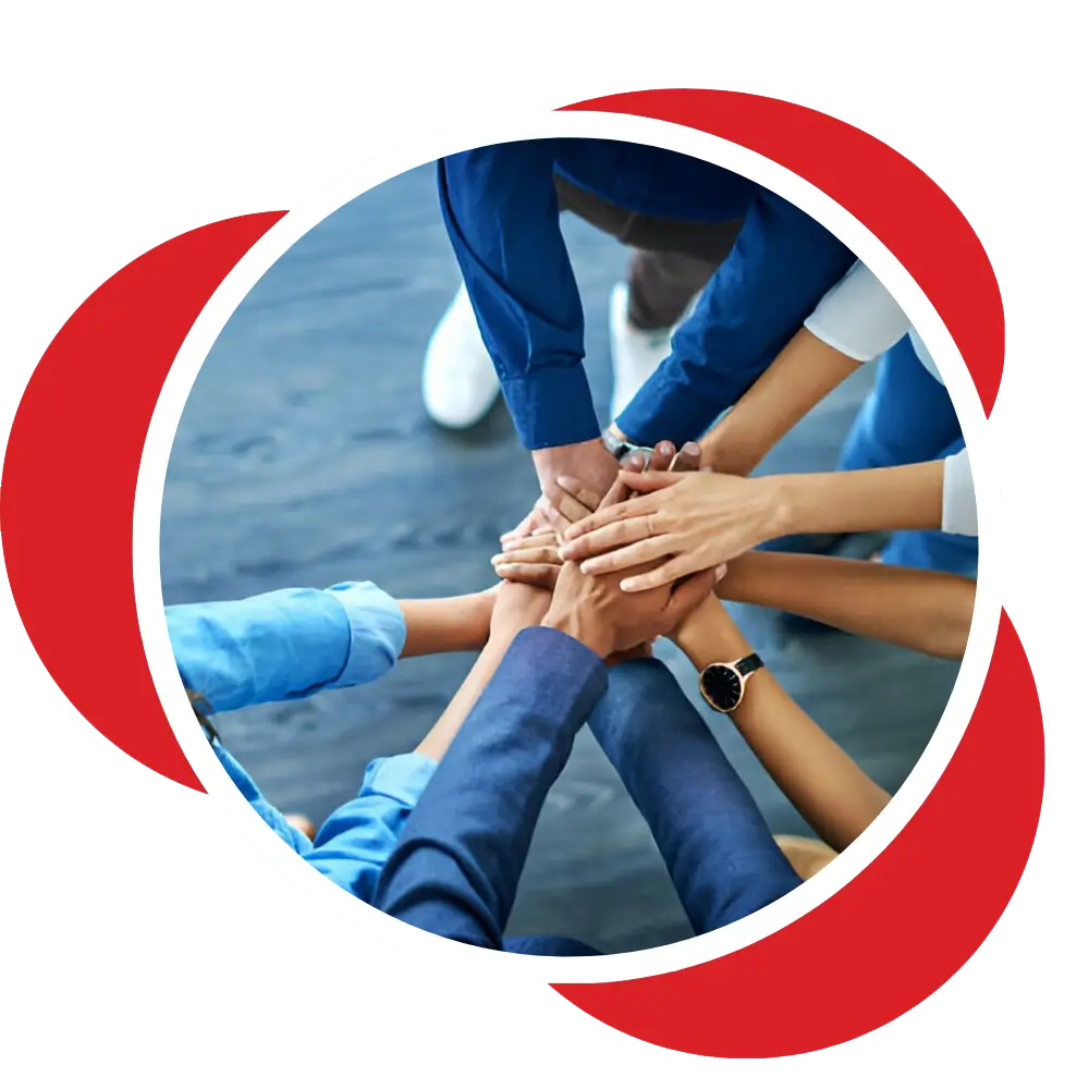 We provide best services